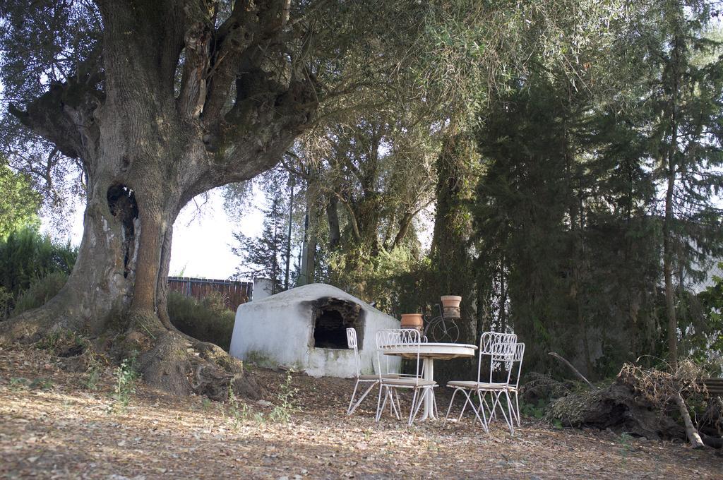 Villas De La Ermita Vejer de la Frontera Εξωτερικό φωτογραφία